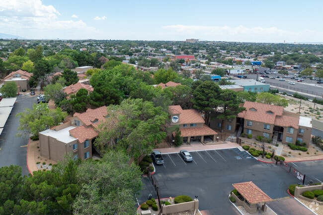 Cinnamon Tree Apartments for rent in Albuquerque - Cinnamon Tree Apartments