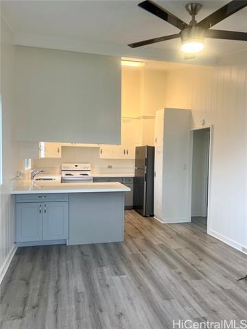 Foto del edificio - 141 Kihapai St