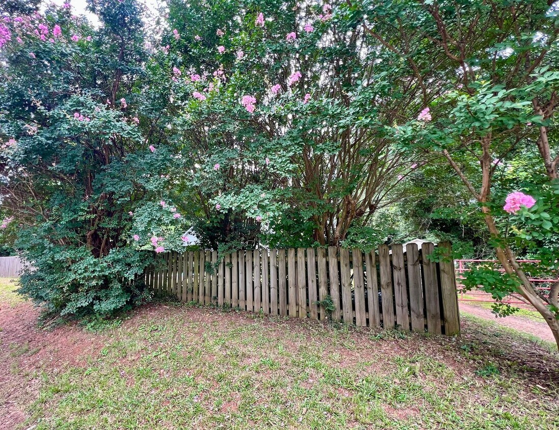 Primary Photo - 3 Bed | 1 Bath Single Family Home