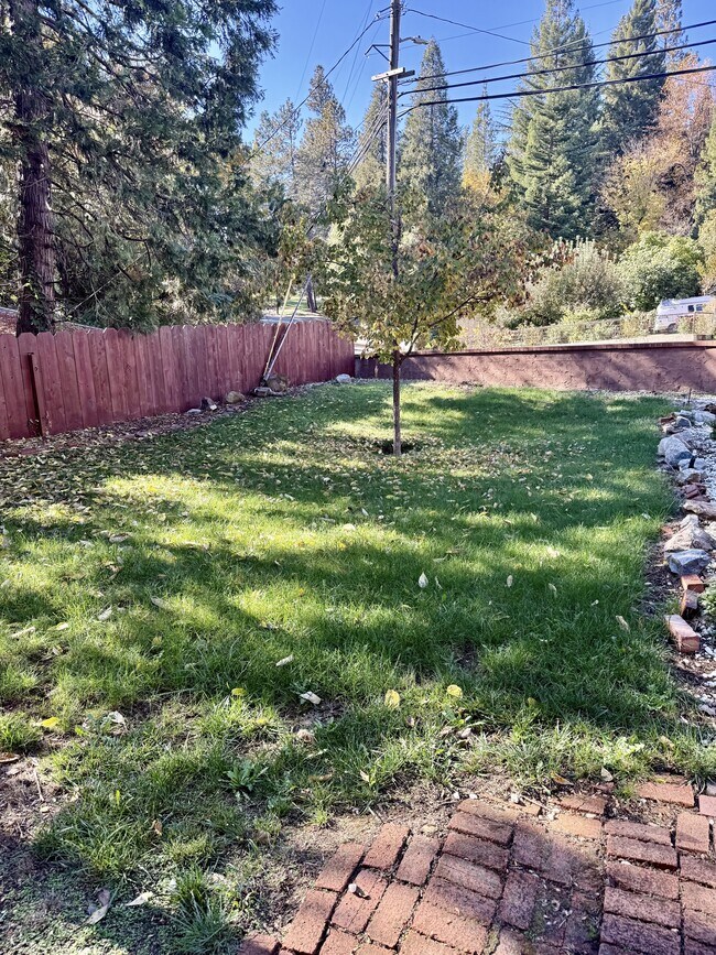 Foto del edificio - 319 Chapel St