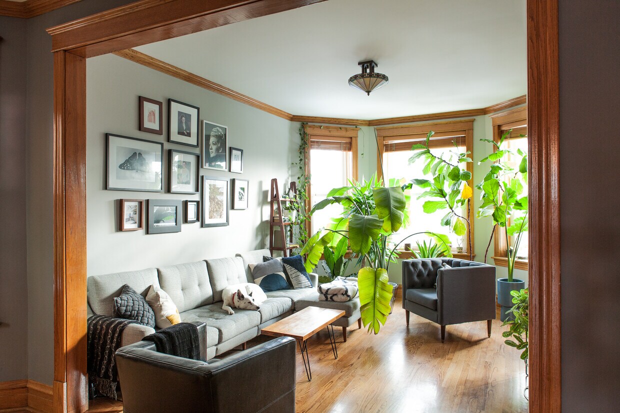 Front Room- south windows - 3304 W Palmer St