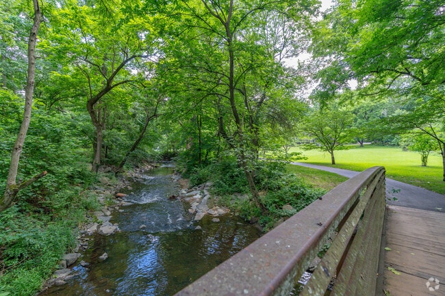 Sligo Creek in Takoma Park offers trails, varied scenery, and a temporary escape.