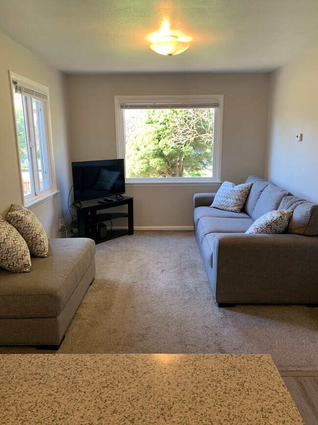Couch, ottoman, TV and stand are included! - 509 Avenue C