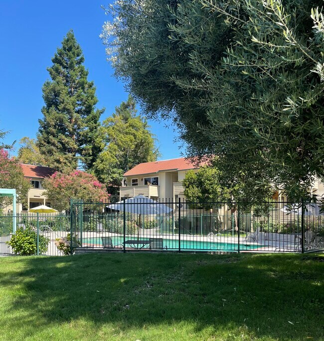 Pool - 765 N Fair Oaks Ave