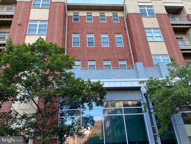 Foto del edificio - 309 Holland Ln