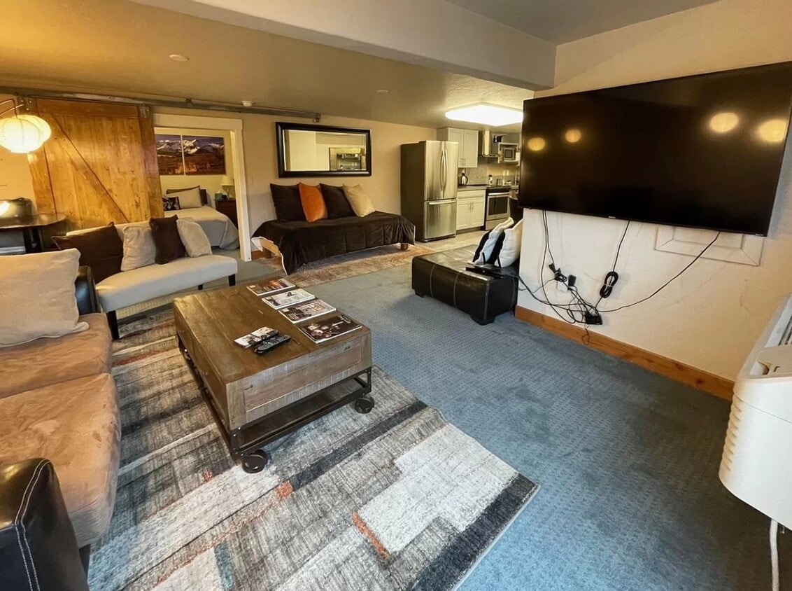 1041 S Lincoln Ave Unit 400, Steamboat Springs, CO 80487 Room for