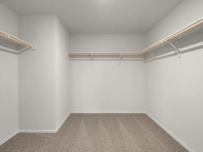 Building Photo - 1817 Windsor Blvd