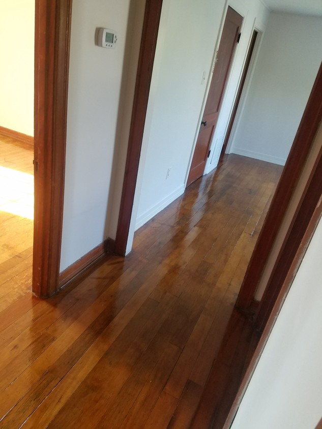 Hallway to living room - 108 Holly Ave