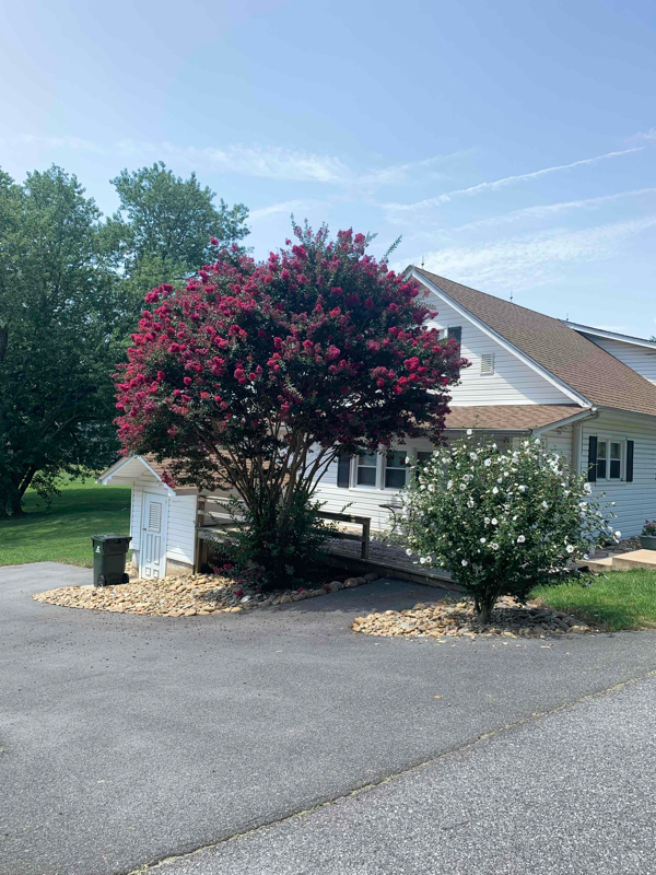 Building Photo - 1010 Brethren Church Rd