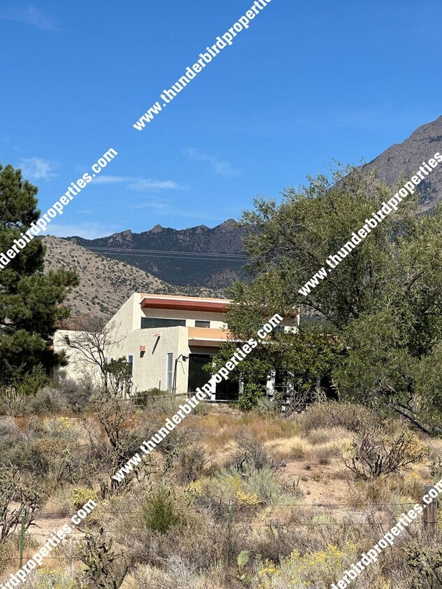Primary Photo - North Albuquerque Acres