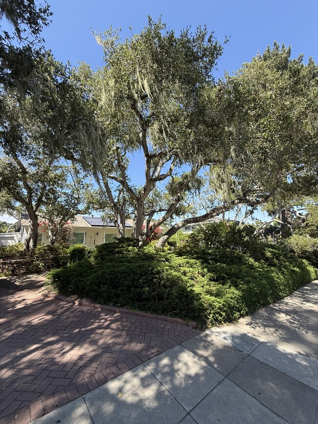 Building Photo - 810 Martin St