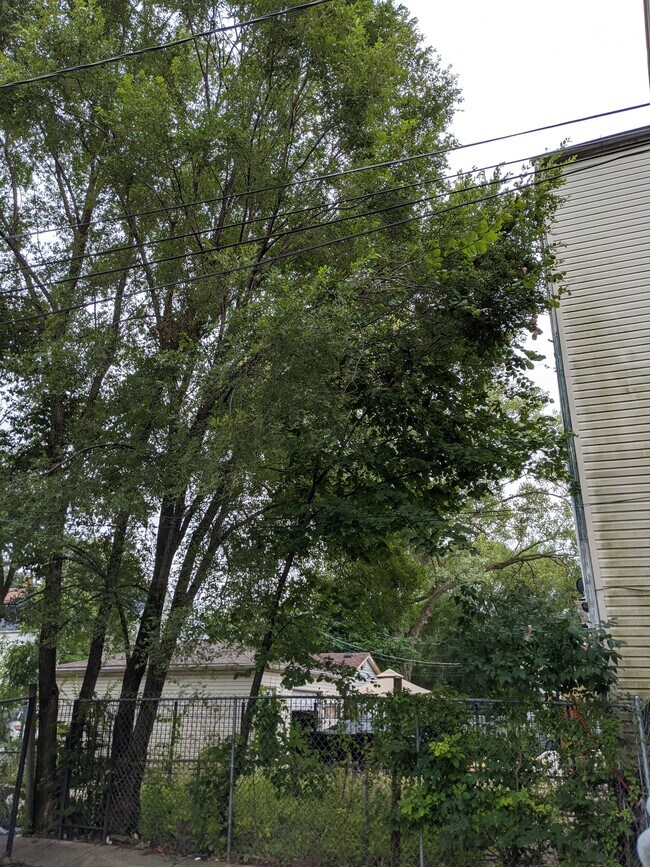 Building Photo - 5321 S Damen Ave