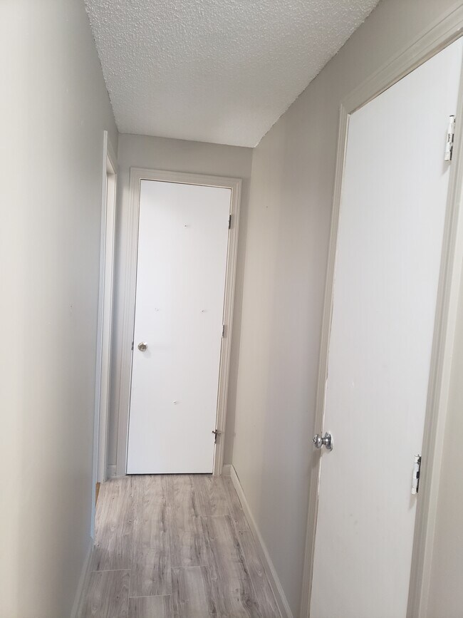 Many closets for extra storage - 95 Wolcott St
