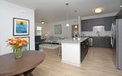 This 2-bedroom, 2-bathroom single-level residence combines modern design with functional living spaces. The open-concept kitchen serves as a central highlight, featuring dark espresso cabinetry that extends to the ceiling for ample storage, a classic white tile backsplash, and a generous granite countertop island that doubles as a breakfast bar. Stainless steel appliances — including a refrigerator, range, and microwave — provide a sleek, contemporary aesthetic. Pendant lighting above the island adds focused illumination and a stylish finishing touch, complementing the flush-mount ceiling light overhead. The kitchen flows seamlessly into the living areas, creating an inviting and connected layout well-suited for both daily use and entertaining. The two bedrooms offer comfortable retreats, while the two full bathrooms provide convenience for residents and guests alike. Clean white walls, modern fixtures, and consistent finishes throughout contribute to a cohesive and polished interior aesthetic. The single-floor layout ensures ease of movement and accessibility across all living spaces, making this a practical and attractive residence overall.