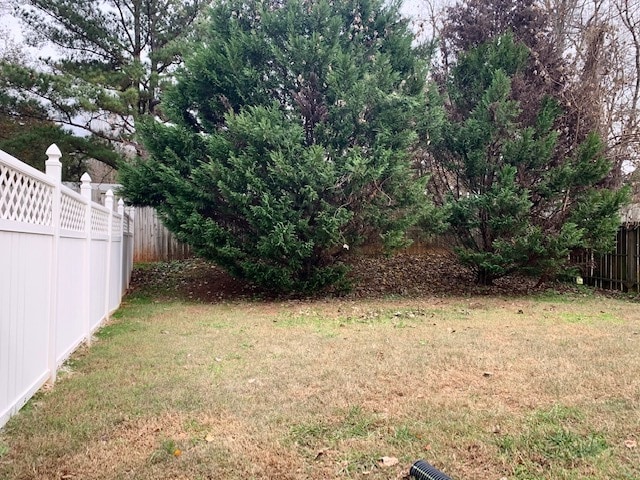 Backyard - 1216 Camellia Ct