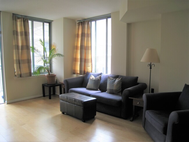 Lots of light in this spacious living room - 851 N Glebe Rd