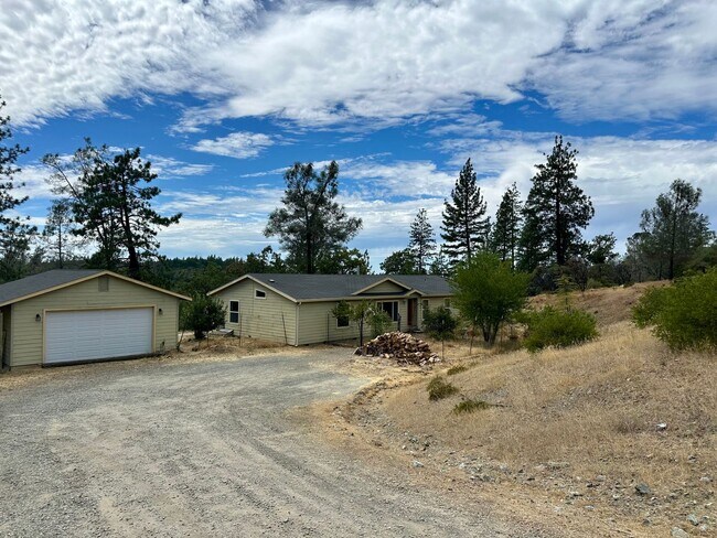 Foto del edificio - 3 Bedroom 2 Bath nestled in Grass Valley