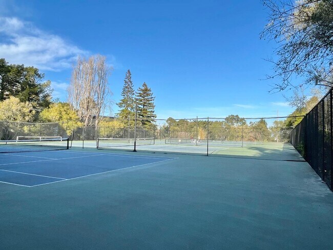 Foto del edificio - 3349 Shelter Creek Ln