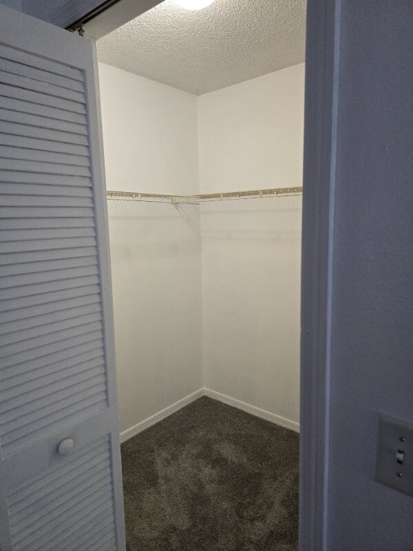 Foto del edificio - 3205 Montrose Cir