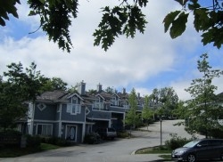 Primary Photo - Chelsea View