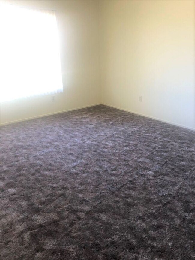 Foto del edificio - Spacious Apartment