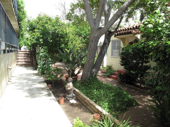 Garden courtyard - 1423 Euclid St