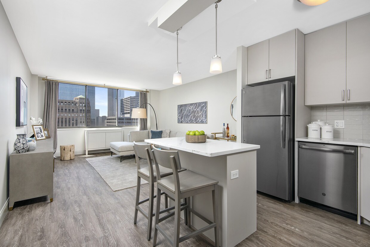 River North Park Apartments Chicago, IL