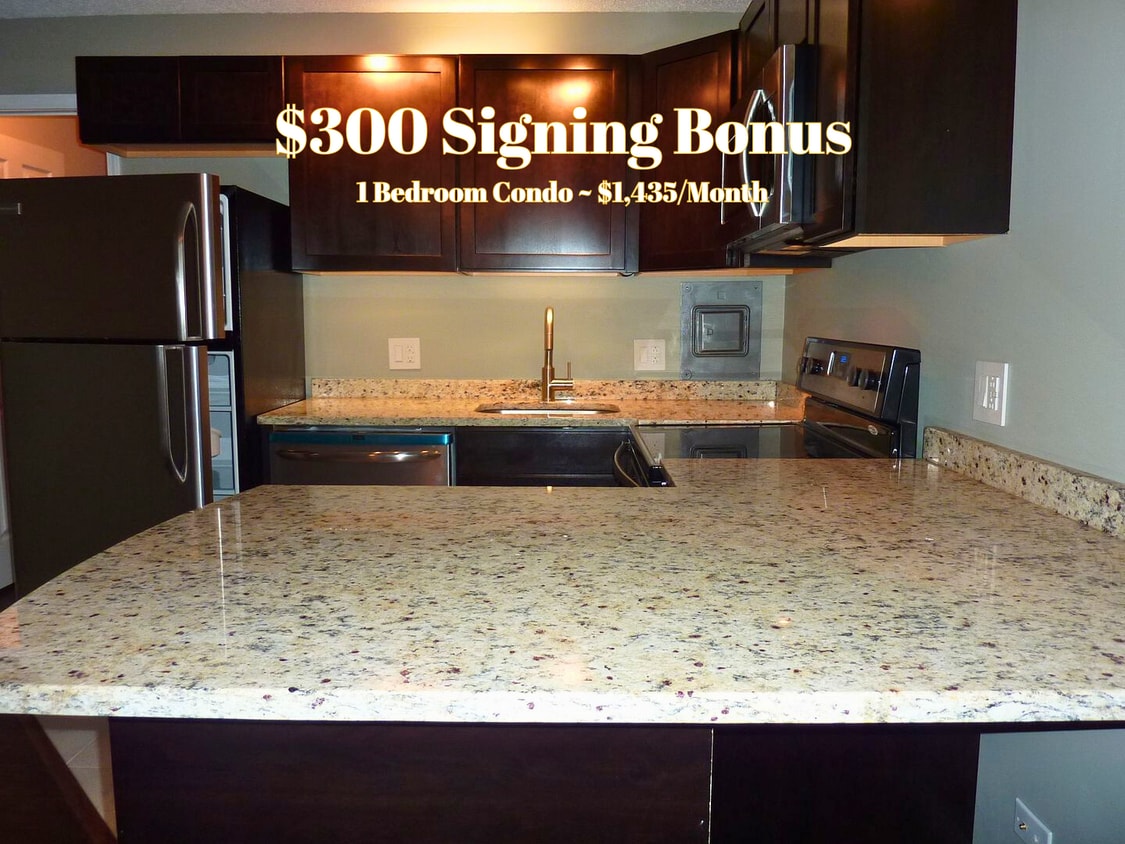 Stylish One-Bedroom Condo Near UTK – Moder... - Stylish One-Bedroom Condo Near UTK – Moder...