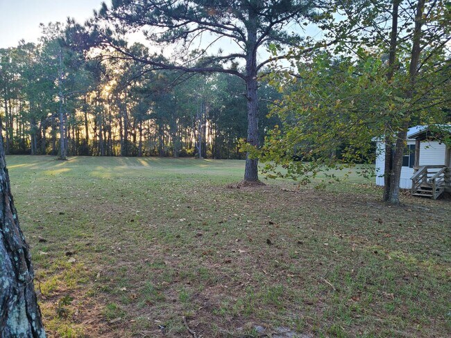 Building Photo - 3/2 on 6 Acres in Archer!