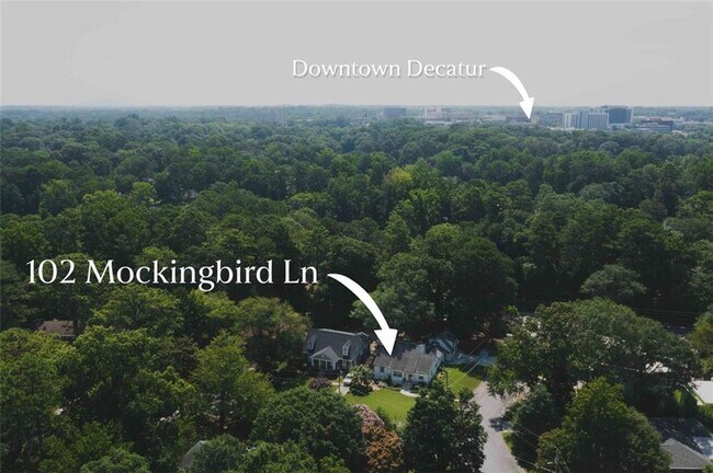Building Photo - 102 Mockingbird Ln