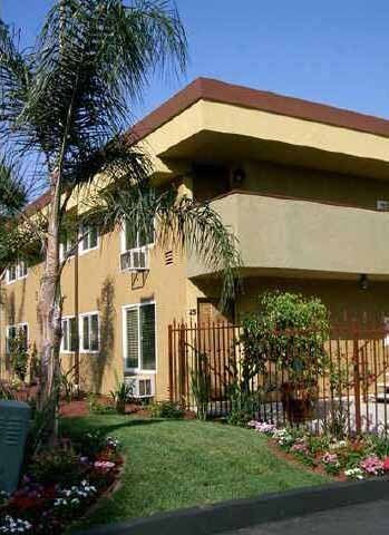 Foto del edificio - Gorgeous 2 BD, 1 BA Condo in Las Palmas Vi...