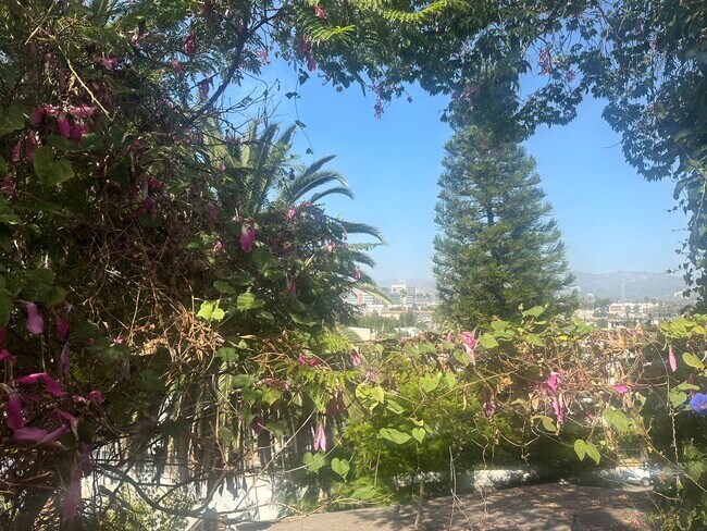 Foto del edificio - 1015 Manzanita St