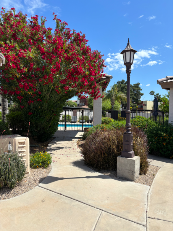 Foto del edificio - 5620 E Kelton Ln