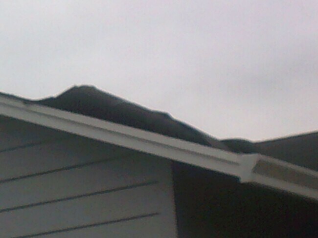 Foto del edificio - 155 Corona Loop Rd