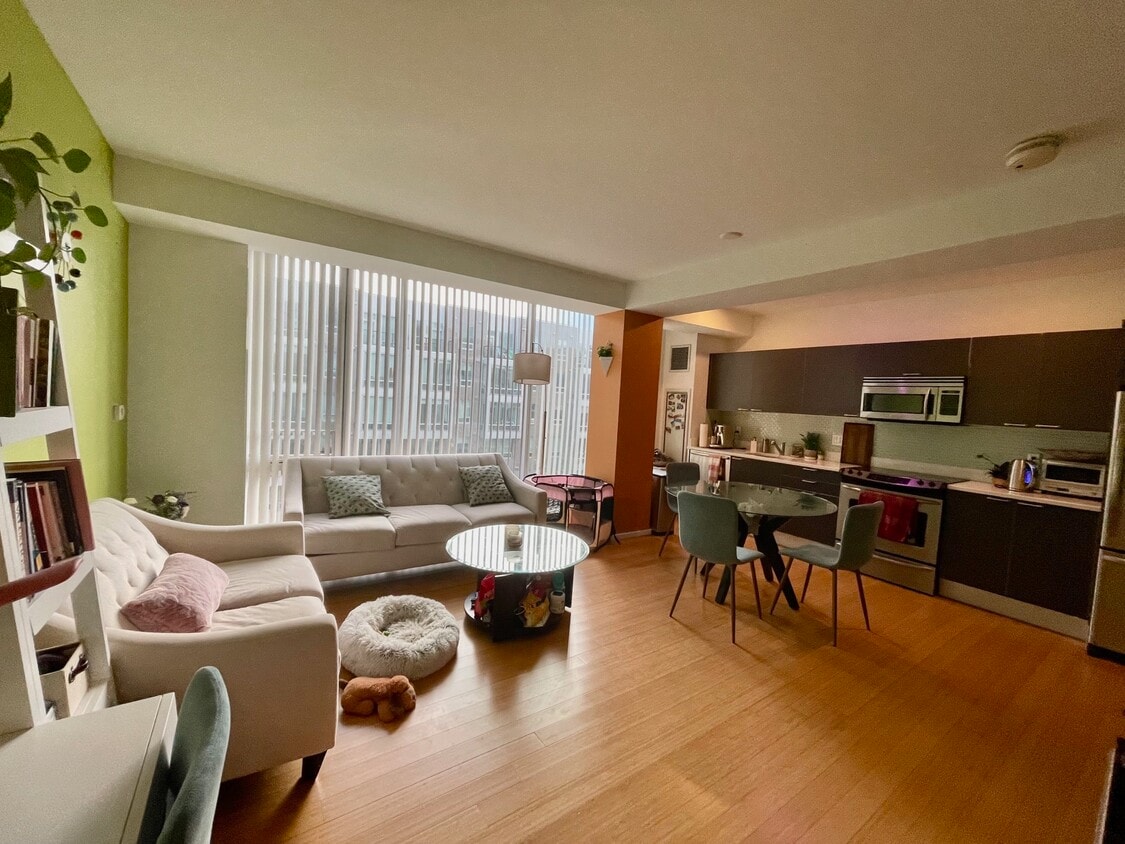 kitchen and living room - 2 Earhart St