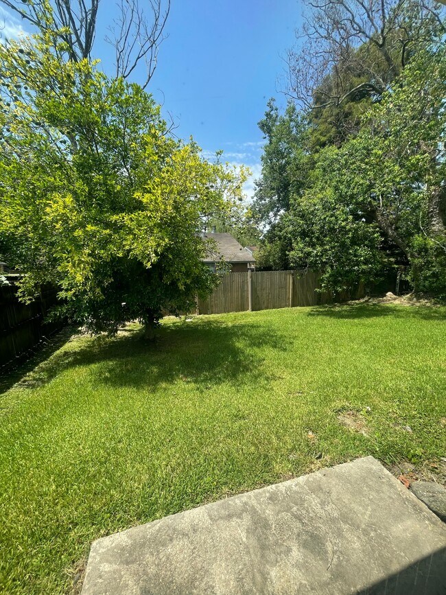Bach yard - 13764 Dumaine Ave