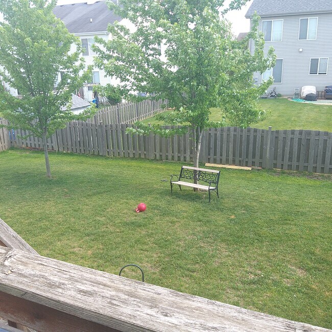 Back Yard - 277 W Biros Ln