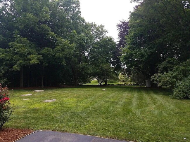 Rear Yard - 27 Hayden Rowe St