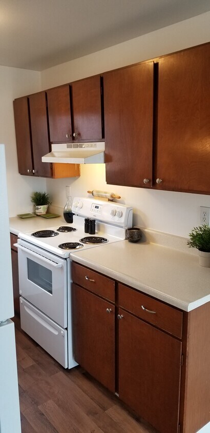 Foto principal - 3800 Bridge Way N