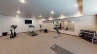 This fitness room offers a comprehensive workout environment designed to accommodate a range of exercise routines. The space is finished with neutral-toned walls and warm wood baseboards, while plush, low-pile carpet in a tan and beige pattern covers the floor throughout, providing a comfortable surface for various activities.

Recessed lighting is positioned across the smooth ceiling, delivering consistent, even illumination throughout the room. A wall-mounted flat-screen television is installed on one end of the space, allowing users to watch programming during cardio sessions. A large wall mirror spans a significant portion of one wall, visually expanding the room and serving as a practical reference for form and technique during workouts.

The cardio equipment lineup includes a treadmill, elliptical trainer, stationary bike, and rowing machine. A dedicated strength training area features an adjustable weight bench paired with a tiered dumbbell rack stocked with free weights. Exercise balls and a yoga mat round out the accessories for stretching and functional training. Windows along one wall allow natural light to enter, brightening the space. A private door provides a separate entry or exit point, contributing to the room's functional and organized layout.