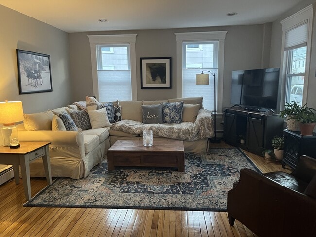 Sunny Living Room - 44 N Spring St