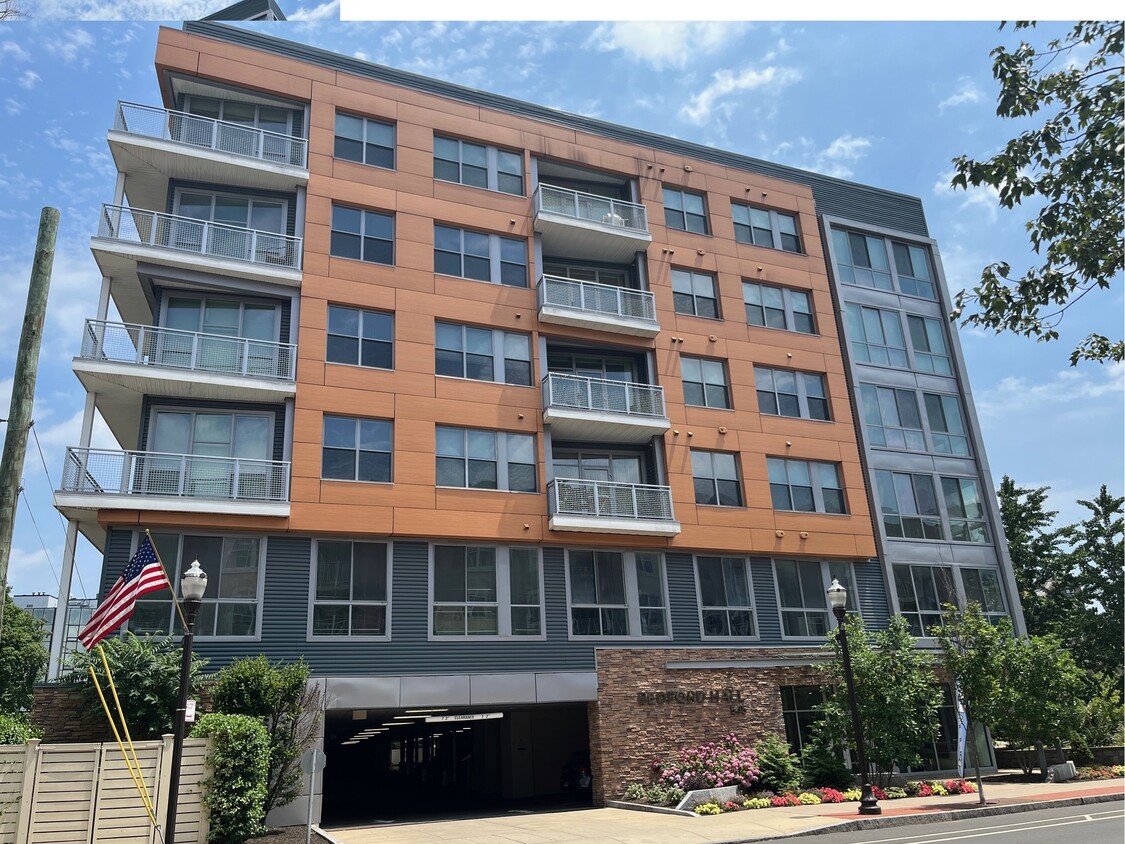 Bedford Hall Apartments in Downtown Stamford - Bedford Hall Apartments in Downtown Stamford
