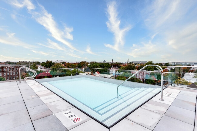 The Stanton infinity rooftop pool with monument views - The Stanton