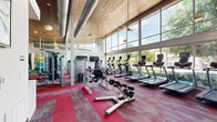 Located at 3900 W Northwest Highway in Dallas, TX, this fitness center offers a spacious, single-floor layout designed to accommodate a full range of workout activities. The facility is architecturally striking, featuring soaring ceilings clad in warm wood paneling, exposed industrial ductwork, and expansive floor-to-ceiling glass windows that flood the interior with abundant natural light and provide open views of the surrounding greenery. The flooring throughout the main workout area consists of bold red and gray modular carpet tiles, lending the space a dynamic, energetic aesthetic. The cardio zone is lined with a row of treadmills, ellipticals, and other aerobic machines positioned directly in front of the large windows, allowing users to enjoy outdoor views during their workouts. A dedicated strength training area features a comprehensive selection of selectorized machines, cable systems, free-weight benches, and a dumbbell rack. A separate spin studio with hardwood flooring houses a full fleet of Spinning bikes, also bathed in natural light from oversized windows framed by textured brick accent walls. Ceiling fans and pendant lighting enhance comfort and ambiance throughout. Decorative artwork and a reception or check-in counter add a polished, welcoming touch to the entry area, rounding out this well-appointed fitness facility.