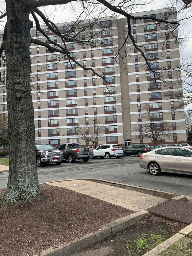 1 bedroom in Alexandria VA 22304 Apartment for Rent in Alexandria, VA