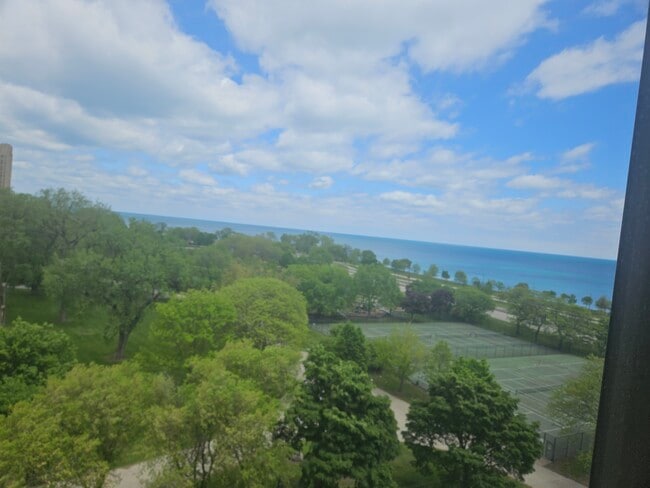 Living Room View - 5300 S Shore Dr