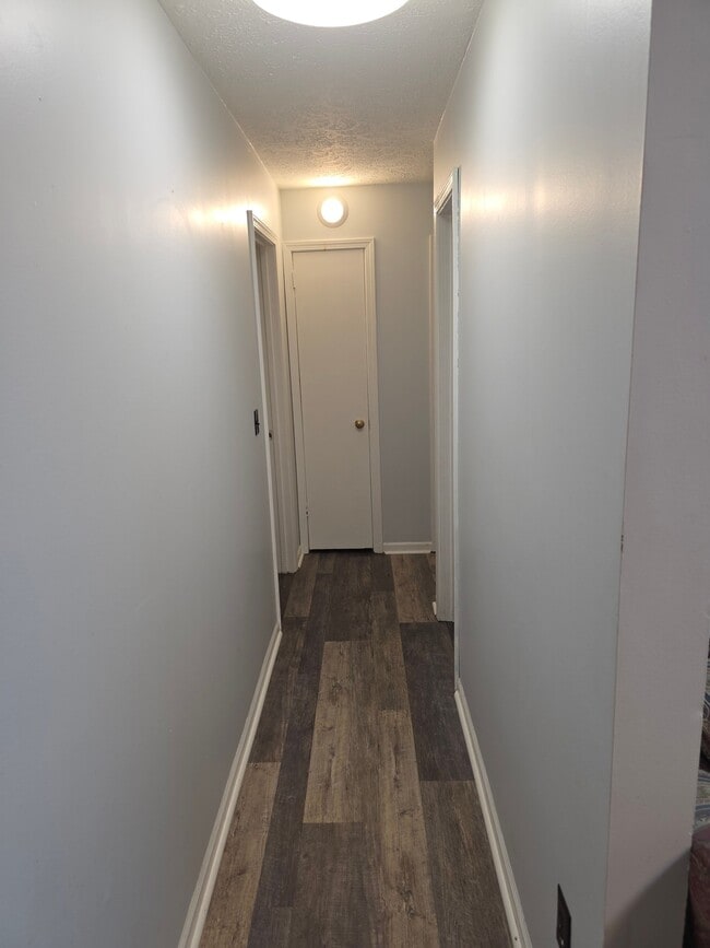 Building Photo - 30 Palmetto Loop