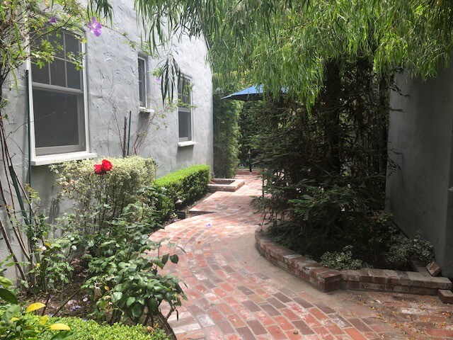 Rear Patio - 10819 Oregon Ave