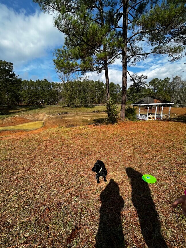 Foto del edificio - 9888 Whitehouse Pkwy