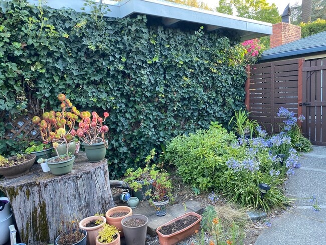 Fenced in yard - 25 Grove St